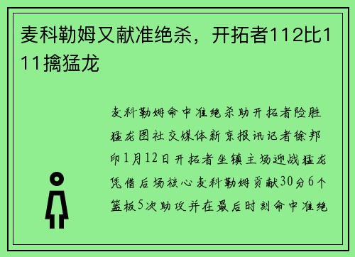 麦科勒姆又献准绝杀，开拓者112比111擒猛龙